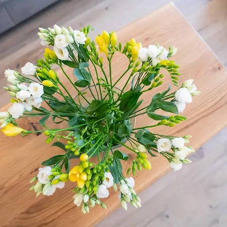 Meergenuss Apartment