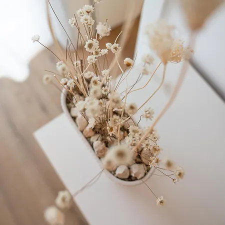 Meergenuss Apartment